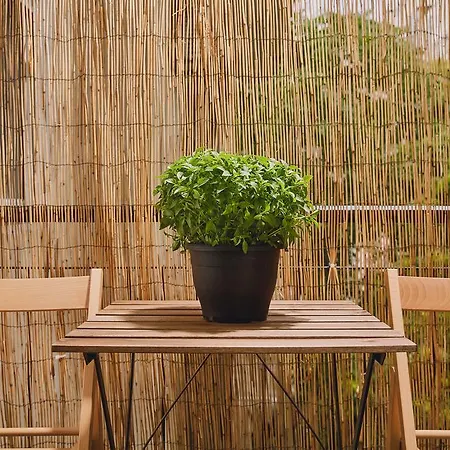 Modern And Cozy In The Centre Of Athens